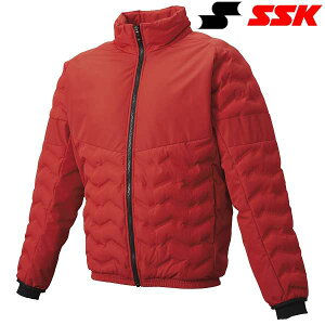  GXGXPC SSK ȃWPbg BWD2500 (20)