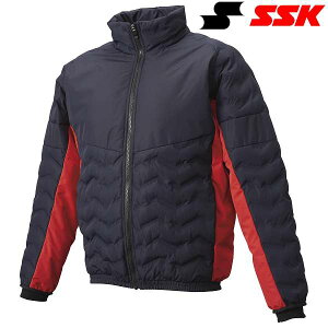  GXGXPC SSK ȃWPbg BWD2500 (7020)