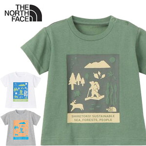 [֔ m[XtFCX THE NORTH FACE V[gX[uVgRgReB[ xr[ TVc NTB32534ST