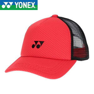  lbNX YONEX bVLbv 40107 (496)