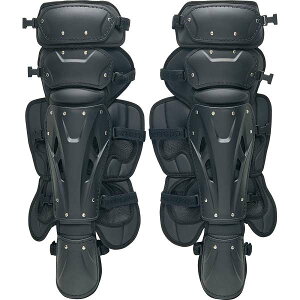  [bg ZETT 싅 dp K[c vXeC^X (1900FubN) BLL1210S-1900