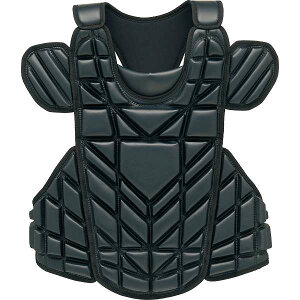  [bg ZETT dpveN^[ PROSTATUS BLP1248 (1900FubN) 싅 BLP1248-1900