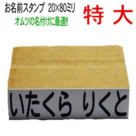 オムツ名前付け【特大サイズ20×80ミリ】ねいりん 単品　特大サイズお名前スタンプ【入学祝・入園祝い・入学準備・介護用品の名前付け】【名前付け・ゴム印・おなまえはんこ】ひらがな・漢字・アルファベット対応【サイズ変更対応・小さくする事のみ可能です】人気商品