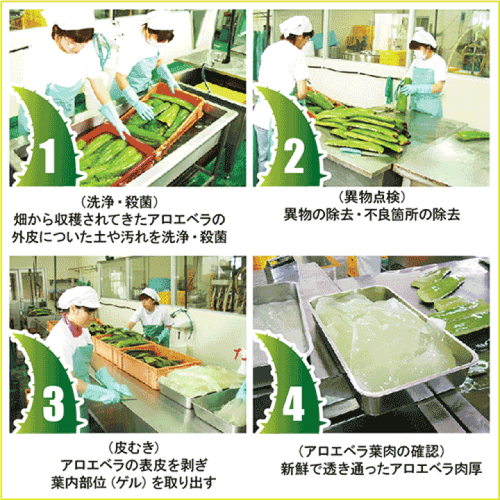 楽天市場】琉球アロエ 1000ml 5本セット エコパック 沖縄産