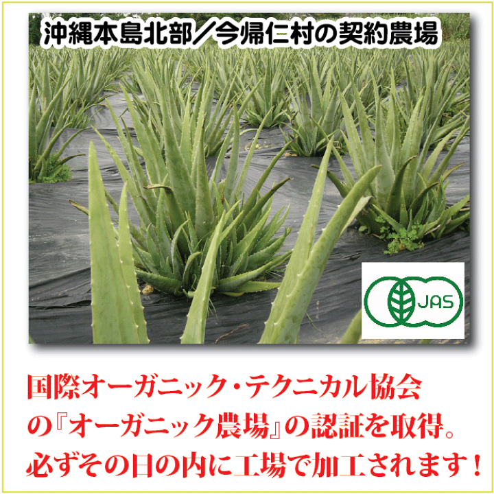 楽天市場】琉球アロエ 1000ml 5本セット エコパック 沖縄産