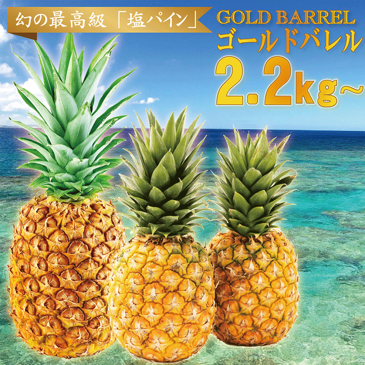 楽天市場】ゴールドバレル 2.2kg 2～3玉 パイナップル 沖縄産