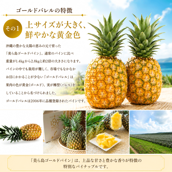パイナップルゴールド 沖縄 パイナップル値段 沖縄産パイナップル サマーゴールド 2 0kg以上 2玉 産直価格でお届け 沖縄 おきなわ 旬 産地直送 沖縄土産 スナックパイナップル 沖縄お土産 通販 沖縄うまいもの屋 長浜商店