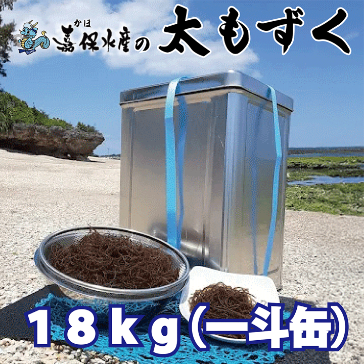 楽天市場】沖縄太もずく 300g～18kg 塩蔵もずく 冷凍 沖縄名産 もずく