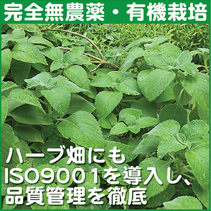 酒蔵古流こうじ甘酒 - 美吉野醸造株式会社