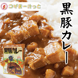 黒豚カレー 180g バークシャー ご当地カレー レトルトカレー レトルト 長期保存 オキハム 沖縄伝統料理 沖縄豚肉料理 常備 長期保存可能 沖縄 人気 定番 沖縄の定番 通販 簡単沖縄料理 沖縄県産