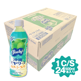 沖縄バヤリース 沖縄県産 ソルティーシークワーサー 500ml シークヮーサー 24本 熱中症 沖縄 海塩入り 沖縄県産 シークワーサー 果汁使用 熱中症対策 果実本来の酸味を生かした爽やかな味のシークワーサー飲料 青切り シークワーサードリンク