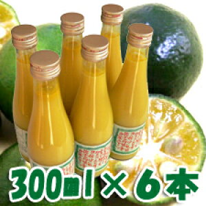 ؂ V[N[T[ 300ml×6{ 100%Y Z t W[X hN mr` t{mCh r^~C NG_ ʏ`100 ꔭ̃X[p[t[h NH eɊ V[N