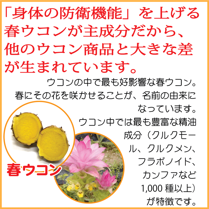 楽天市場 琉球酒豪伝説 6包入り ２袋 お試し 二日酔い 酒豪伝説 サプリ ウコン 飲み方 効果 お酒 二日酔い 予防 沖縄 サプリメント 飲む前 飲み 終わり どっち 沖縄産 歓送迎会 お酒が好き 飲み会 沖縄ウコン ウコンの力 アルコール 飲み過ぎ Ukon サプリ 家飲み ギフト