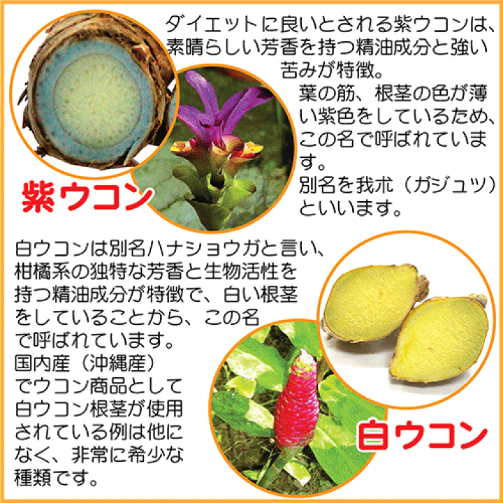 楽天市場 融合ウコン１本 送料無料 沖縄産 オーガニック 春ウコン 秋ウコン 紫ウコン白ウコン お酒 二日酔い 予防 サプリメント お花見 飲み会 祝いの席 飲む前 沖縄産ウコンの力 アルコール 飲み過ぎ Ukon カンファ クルクミン アズレンターメリック ガジュツ 莪朮