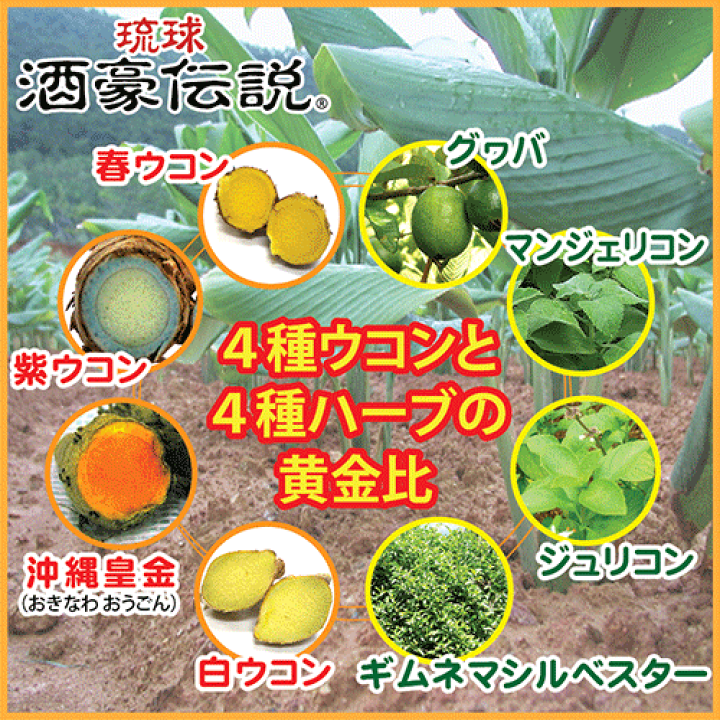 楽天市場】琉球酒豪伝説 6包入り×5袋 ウコン 二日酔い サプリ 飲み方 効果 肝臓 サプリメント おすすめ お酒 二日酔い 予防 沖縄対策 サプリメント 飲む前 飲み終わり どっち 沖縄産 送料無料 お酒が好き 飲み会 沖縄ウコン ウコンの力 飲み過ぎ ukon ギフト : 酒豪伝説 ... 楽天市場】琉球酒豪伝説 6包入り×5袋 ウコン 二日酔い サプリ 飲み方 効果 肝臓 サプリメント おすすめ お酒 二日酔い 予防 沖縄対策 サプリメント 飲む前 飲み終わり どっち 沖縄産 送料無料 お酒が好き 飲み会 沖縄ウコン ウコンの力 飲み過ぎ ukon ギフト : 酒豪伝説 ...