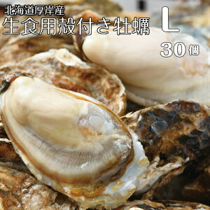 【マルえもん　Lサイズ30個】北海道厚岸産本養殖牡蠣生食用