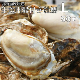 【マルえもん　Lサイズ10個～50個】北海道厚岸産本養殖牡蠣生食用