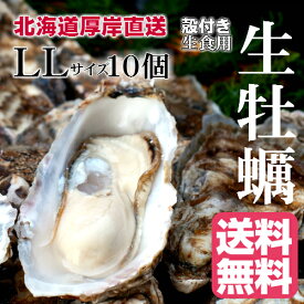 【マルえもん　LLサイズ10個】北海道厚岸産本養殖牡蠣生食用