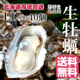 【マルえもん　LLサイズ40個】北海道厚岸産本養殖牡蠣生食用