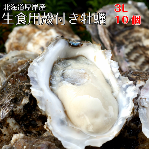 【マルえもん 3Lサイズ10～50個】北海道厚岸産本養殖牡蠣生食用のサムネイル