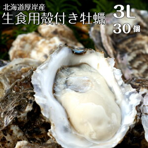 【マルえもん　3Lサイズ30個】北海道厚岸産本養殖牡蠣生食用