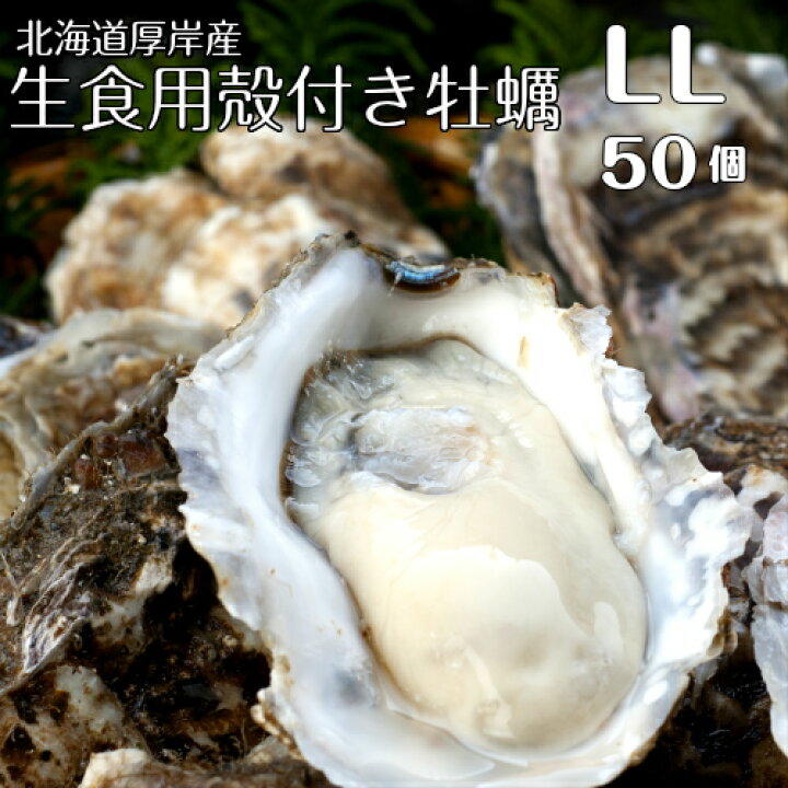 【マルえもん LLサイズ50個】北海道厚岸産本養殖牡蠣生食用 ガキカキ