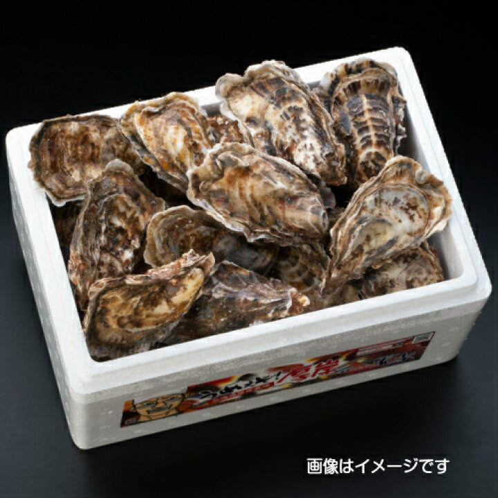【マルえもん LLサイズ20個】北海道厚岸産本養殖牡蠣生食用 ガキカキ