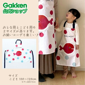 11/20 20:0030%OFFN[|zzIy w  z ܖY 񂬂傪ɂ Gv qǂp K23003 wXeCt  G