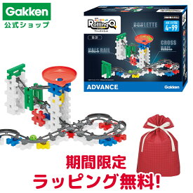 ★スーパーSALE期間中30％OFF★＜期間限定ラッピング無料＞【 学研 公式 】 Gakken ニューブロック ローリングキュー ファーストセット 14種55パーツ 4歳から 【2Lサイズラッピング対応商品】 83743 学研ステイフル おもちゃ 知育玩具