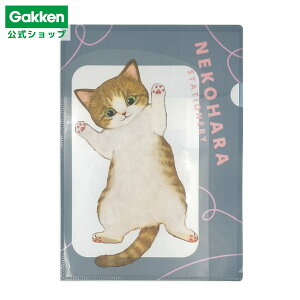 y w  z ˂n A4|Pbgt@C O[ D06072 wXeCt  G