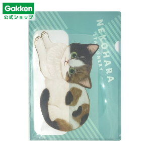 y w  z ˂n A4|Pbgt@C O[ D06073 wXeCt  G