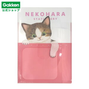 y w  z ˂n A4|Pbgt@C sN D06074 wXeCt  G