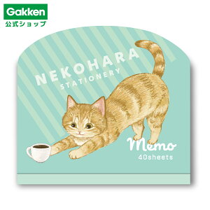 y w  z ˂n _CJbg O[ M05303 wXeCt  G