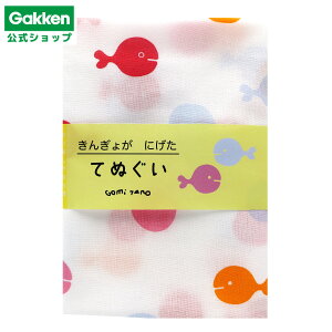 X[p[SALEԒ30OFFy w  z ܖY 񂬂傪ɂ Ăʂ  F12079 wXeCt  G