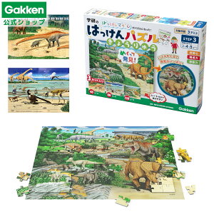 X[p[SALEԒ50OFFy w  z ͂ pY 傤イ 3΂ 4΁E5Ό 83537 wXeCt  mߋ