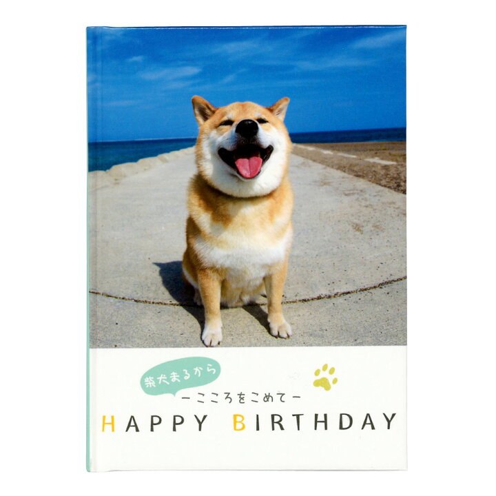 楽天市場 公式 誕生日カード メッセージブック 柴犬まる B 犬 写真 バースデイ ギフト プレゼント 贈り物 学研ステイフル 学研ステイフル 楽天市場店 楽天市場 公式 誕生日カード メッセージブック 柴犬まる B 犬 写真 バースデイ ギフト プレゼント 贈り物 学研ステイフル 学研ステイフル 楽天市場店