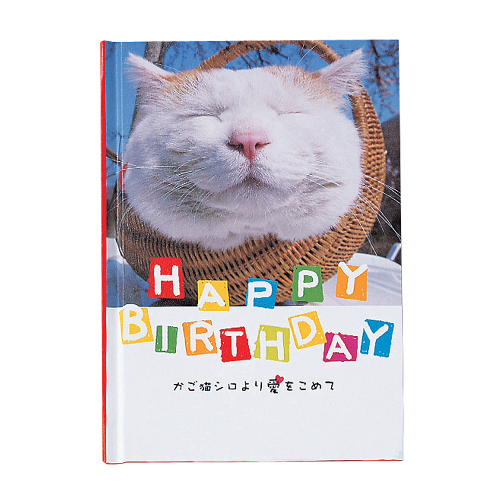 　誕生日カード　メッセージブック（かご猫）　B10018　　写真　かご猫シロより愛をこめて　バースデイ　ギフト　プレゼント　贈り物　学研ステイフル