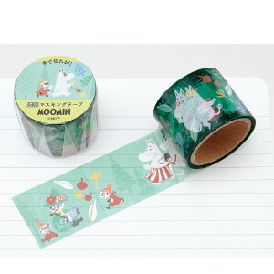 y w  z [~  }XLO e[v 30mm  M05053 wXeCt  G