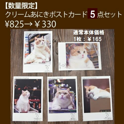 楽天市場 猫 ポストカード 詰め合わせ お買い得 クリームあにき ねこ ネコ 学研ステイフル 楽天市場店