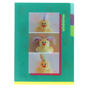 �_4��9�������V���i�^ mojojojo �N���A �t�@�C�� A5 3P S2175142 �w���X�e�C�t�� ���� ���[�� �G�� �T���X�^�[����