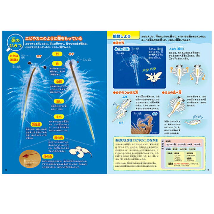 楽天市場 自由研究 おばけえびすいすい水族館 科学と学習 J7506 学研ステイフル 夏休み 学研ステイフル 楽天市場店