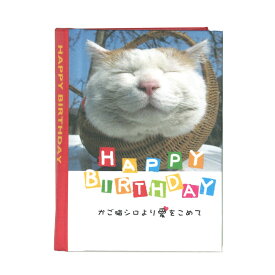 楽天市場 バースデーカード 猫の通販