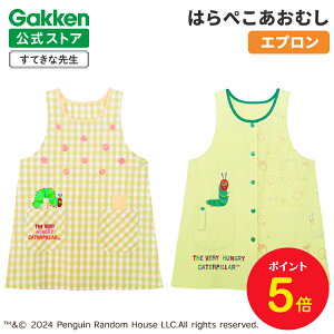 y}\P5{zw ĂȐ搶 ͂؂ނ ۈmGv LN^[ LN^[Gv RECXt[Gv CG[ G{V[Y Gv ۈ