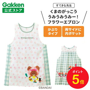 w ĂȐ搶 ܂̂ ݂݂݁[I ۈmGv LN^[ LN^[Gv t[Gv i`×~gO[ G{V[Y Gv ۈm 