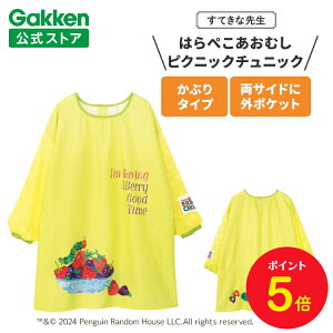 y}\P5{zw ĂȐ搶 ͂؂ނ ۈmGv LN^[ LN^[Gv sNjbN`jbN CCG[ G{V[Y Gv ۈ