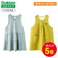 【全品ポイント5倍◆19日20時〜】学研 すてきな先生 保育士エプロン CAFE 大人用 エプロン ギンガム レー…