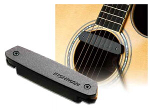 FISHMAN TEhz[sbNAbv PRO-NEO-D01 SingleqtBbV}r