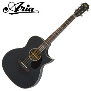 ARIA GAR Aria-101CE MTBK (Black, Matt)qAAr