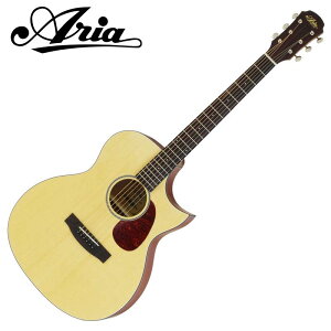 ARIA GAR Aria-101CE MTN (Natural, Matt)qAAr