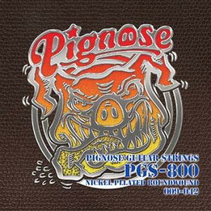 Pignose/ピグノーズギター専用弦 PGS-800【ピグノーズ】〈アリア〉